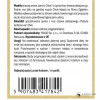 MASTIKA 480mg wsparcie na HELICOBACTER PYLORI WRZODY ŻOŁĄDKA 60kaps YANGO
