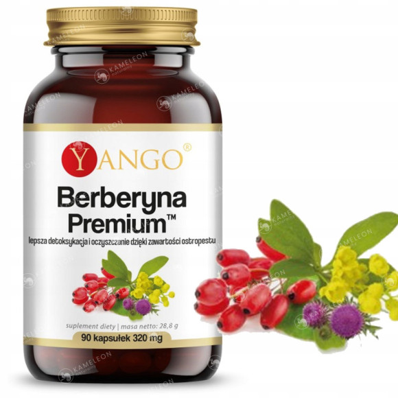 Yango BERBERYNA PREMIUM 320mg wsparcie PRAWIDŁOWY CHOLESTEROL CUKIER 90kaps Yango BERBERYNA PREMIUM 320mg wsparcie PRAWIDŁOWY CHOLESTEROL CUKIER 90kaps