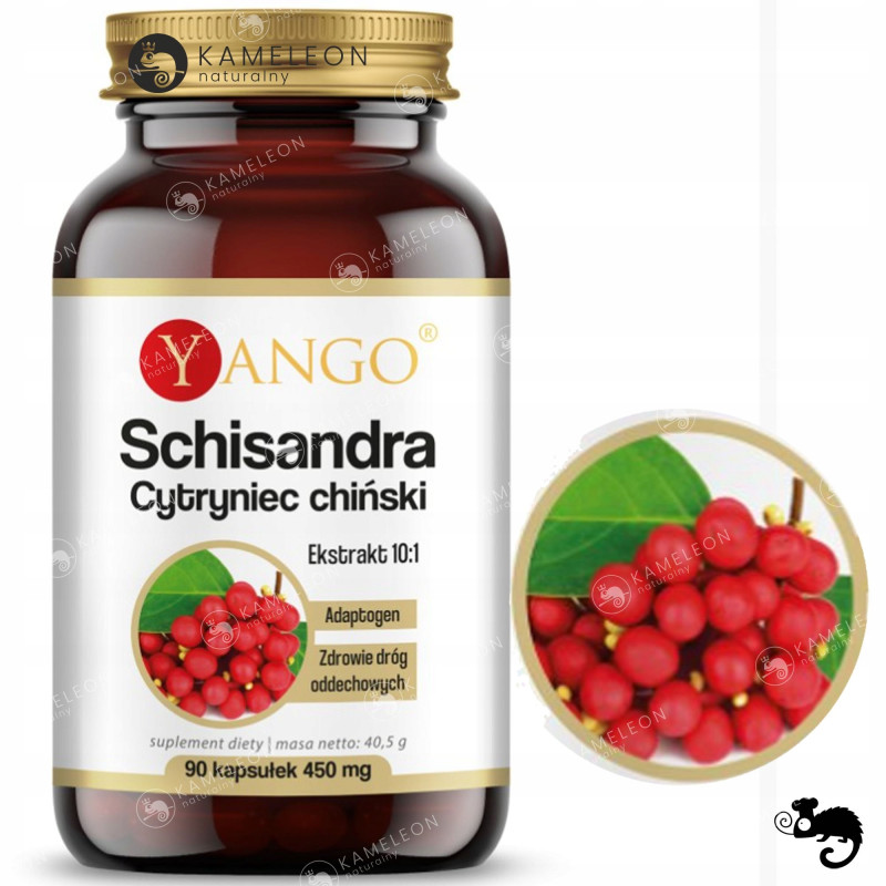 Yango SCHISANDRA CYTRYNIEC CHIŃSKI Adaptogen wsparcie: WĄTROBA DROGI ODDECH