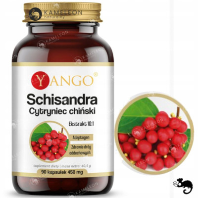 Yango SCHISANDRA CYTRYNIEC CHIŃSKI Adaptogen wsparcie: WĄTROBA DROGI ODDECH