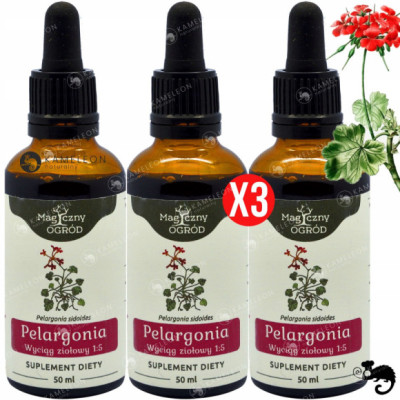 3x PELARGONIA AFRYKAŃSKA WYCIĄG 50ml wsparcie: ODPORNOŚC U.ODDECHOWY NANGA