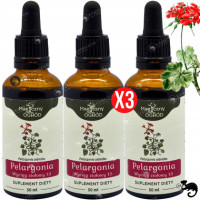 3x PELARGONIA AFRYKAŃSKA WYCIĄG 50ml wsparcie: ODPORNOŚC U.ODDECHOWY NANGA