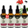 4x PELARGONIA AFRYKAŃSKA wyciąg 50ml wsparcie ODPORNOŚĆ U. ODDECHOWY NANGA 4x PELARGONIA AFRYKAŃSKA wyciąg 50ml wsparcie ODPORNOŚĆ U. ODDECHOWY NANGA