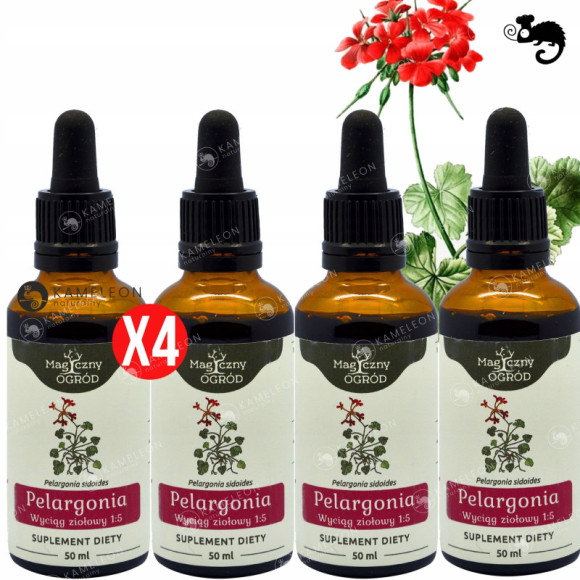 4x PELARGONIA AFRYKAŃSKA wyciąg 50ml wsparcie ODPORNOŚĆ U. ODDECHOWY NANGA 4x PELARGONIA AFRYKAŃSKA wyciąg 50ml wsparcie ODPORNOŚĆ U. ODDECHOWY NANGA