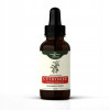 CYTRYNIEC CHIŃSKI Schisandra ADAPTOGEN 50ml NANGA wsparcie: STRES ODPORNOŚĆ