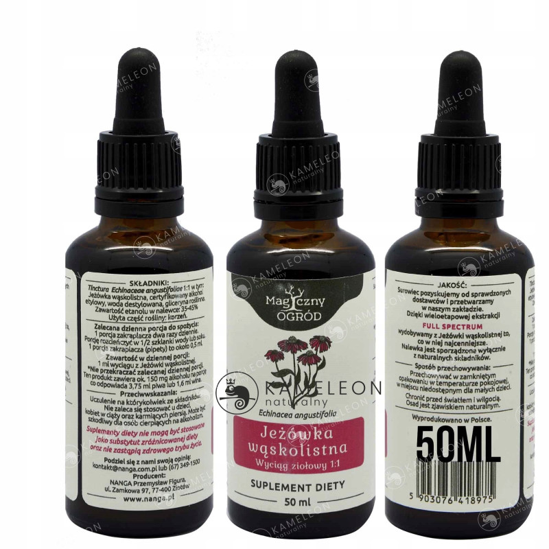 JEŻÓWKA WĄSKOLISTNA ECHINACEA wyciąg 50ml NANGA wsparcie ODPORNOŚĆ INFEKCJE