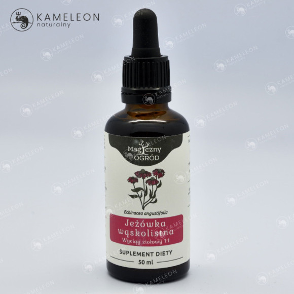 JEŻÓWKA WĄSKOLISTNA ECHINACEA wyciąg 50ml NANGA wsparcie ODPORNOŚĆ INFEKCJE