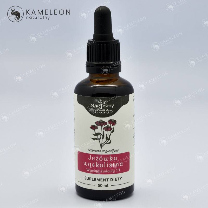 JEŻÓWKA WĄSKOLISTNA ECHINACEA wyciąg 50ml NANGA wsparcie ODPORNOŚĆ INFEKCJE