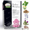 MIR-LEK Ludowe Receptury wsparcie PROBIOTYCZNE MIKROFLORA JELIT zioła 75G