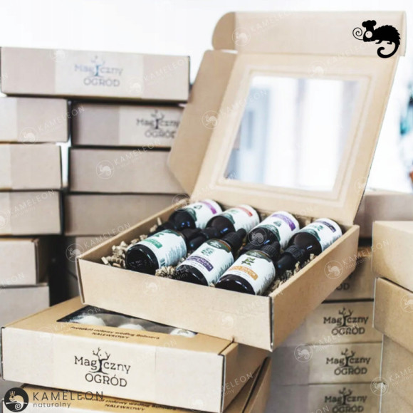 PROTOKÓŁ 7 WYCIĄGÓW wg BUHNERA ROZSZERZONY BORELIOZA 7x 50ml 350ML Nanga PROTOKÓŁ 7 WYCIĄGÓW wg BUHNERA ROZSZERZONY BORELIOZA 7x 50ml 350ML Nanga