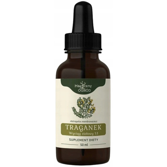 TRAGANEK Astragalus KORZEŃ WYCIĄG ZIOŁOWY 50ml NANGA wsparcie na ODPORNOŚĆ TRAGANEK Astragalus KORZEŃ WYCIĄG ZIOŁOWY 50ml NANGA wsparcie na ODPORNOŚĆ