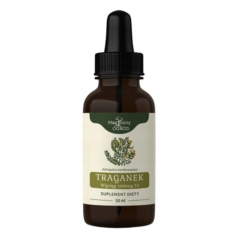 TRAGANEK Astragalus KORZEŃ WYCIĄG ZIOŁOWY 50ml NANGA wsparcie na ODPORNOŚĆ