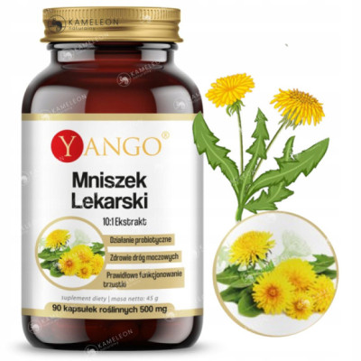 Yango MNISZEK LEKARSKI EKSTRAKT wsparcie: U. POKARMOWY PROBIOTYCZNIE 90kaps