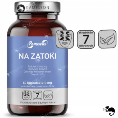 YANGO Panaseus NA ZATOKI 510mg Tymianek Sosna Werbena Pierwiosnek Róża 50kp