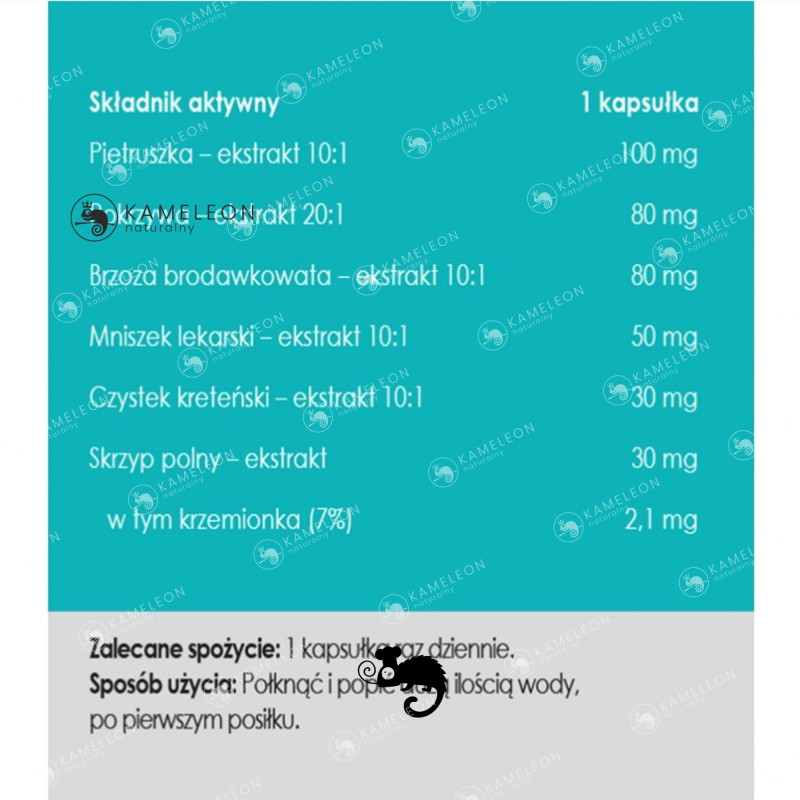 Yango Panaseus NADMIAR WODY 50kps Pietruszka Brzoza Pokrzywa Czystek Skrzyp