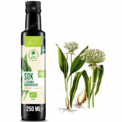 SOK Z CZOSNKU NIEDŹWIEDZIEGO czosnek niedźwiedzi EKO 250ml DARY NATURY