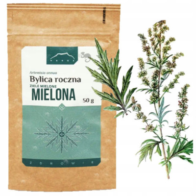 NANGA BYLICA ROCZNA MIELONA suszona ZIELE BYLICY susz Artemisia annua 50g