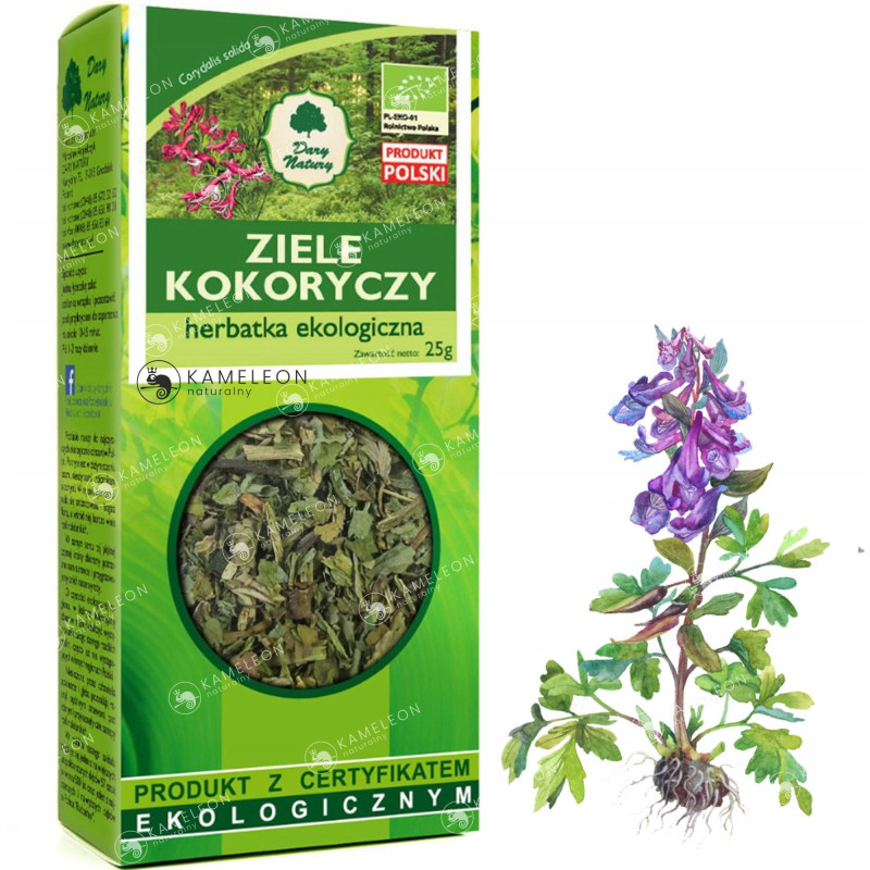 KOKORYCZ ZIELE eko 25g DARY NATURY wsparcie CHOLESTEROL CIŚNIENIE