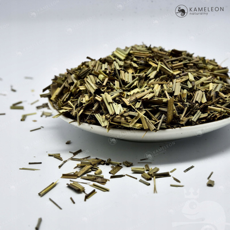 TRAWA CYTRYNOWA suszona cięta lemongrass 50g zioła