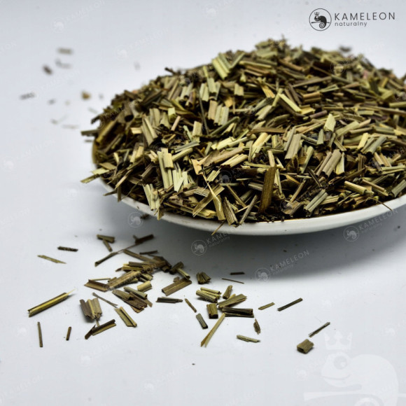 TRAWA CYTRYNOWA suszona cięta lemongrass 50g zioła TRAWA CYTRYNOWA suszona cięta lemongrass 50g zioła