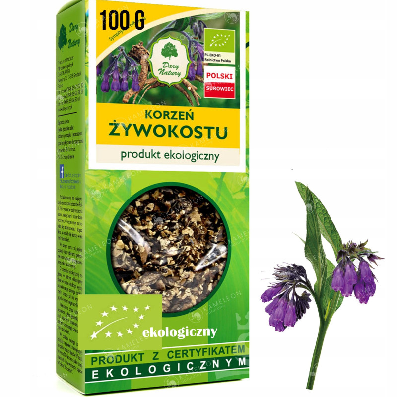 ŻYWOKOST KORZEŃ ŻYWOKOSTU eko 100g DARY NATURY OKŁADY NA STAWY MIĘŚNIE