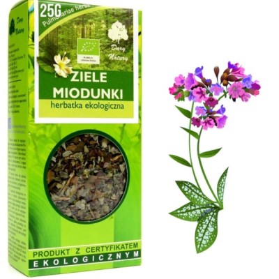 MIODUNKA ZIELE MIODUNKI PŁUCNIK ZIOŁA NA PŁUCA eko bio 25g