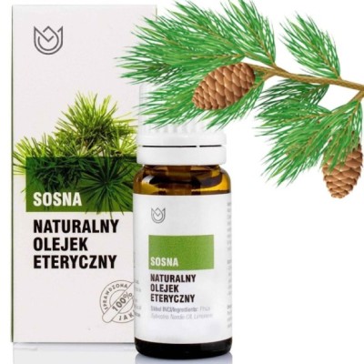 Naturalny OLEJEK ETERYCZNY SOSNA Sosnowy 10ml kaszel katar