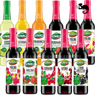 ŁOWICZ zestaw 11x SYROP OWOCOWY mix smaków