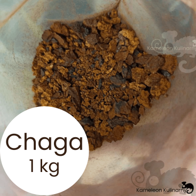 CHAGA HUBA guz brzozy CZAGA BŁYSKOPOREK PODKOROWY duże opakowanie 1000g 1KG