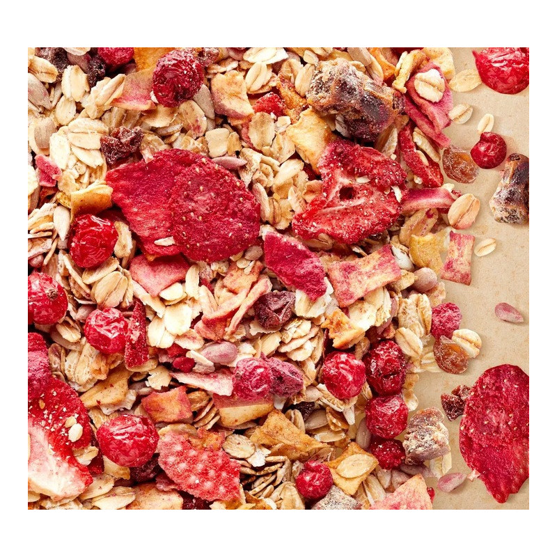 OneDayMore MUSLI OWOCOWE 400g Liofilizowana truskawka i Porzeczka + Jabłko