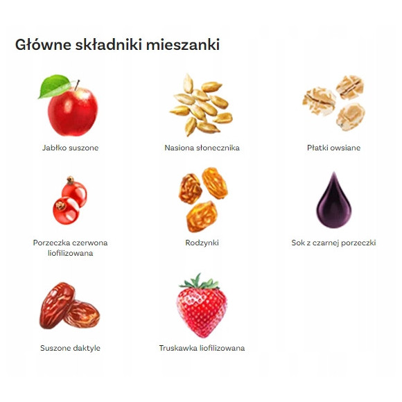 OneDayMore MUSLI OWOCOWE 400g Liofilizowana truskawka i Porzeczka + Jabłko OneDayMore MUSLI OWOCOWE 400g Liofilizowana truskawka i Porzeczka + Jabłko