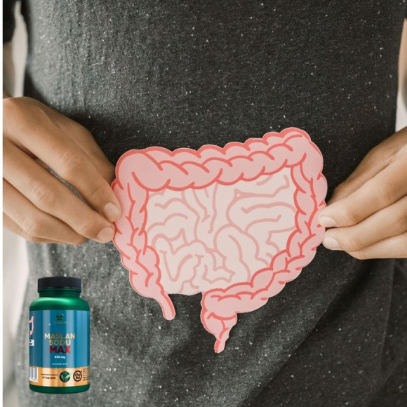 Lanco MAŚLAN SODU MAX 1300mg w porcji 60kaps wparcie: JELITA MIKROFLORA Lanco MAŚLAN SODU MAX 1300mg w porcji 60kaps wparcie: JELITA MIKROFLORA