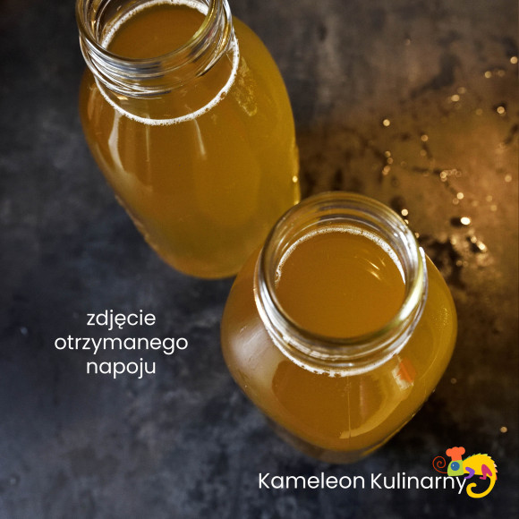 KOMBUCHA (KOMBUCZA) napój 350ml / Kameleon Kulinarny KOMBUCHA (KOMBUCZA) napój 350ml / Kameleon Kulinarny