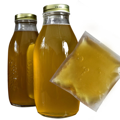 KOMBUCHA (KOMBUCZA) napój 350ml / Kameleon Kulinarny