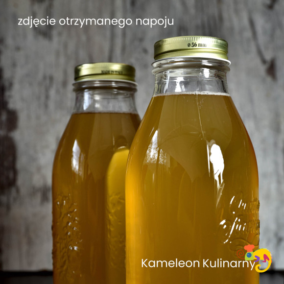 KOMBUCHA (KOMBUCZA) napój 350ml / Kameleon Kulinarny KOMBUCHA (KOMBUCZA) napój 350ml / Kameleon Kulinarny