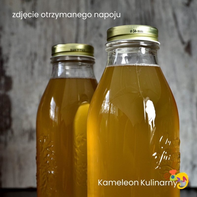 KOMBUCHA (KOMBUCZA) napój 350ml / Kameleon Kulinarny