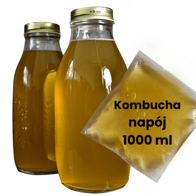 KOMBUCHA (KOMBUCZA) napój 350ml / Kameleon Kulinarny