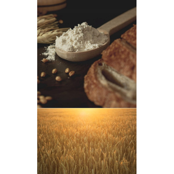 Melvit bio ekologiczna MĄKA KOKOSOWA 1000g 1KG bezglutenowa + niski indeks