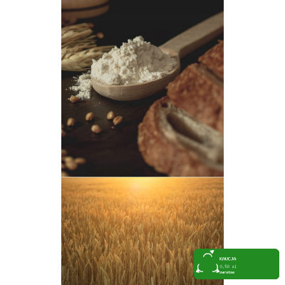 GOONG Pamapol MLECZKO KOKOSOWE 17-19% tłuszczu 86% miąższu z kokosa 400ml