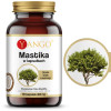 Yango MASTIKA 480mg 60 kapsułek wsparcie: UKŁAD POKARMOWY TRAWIENNY
