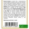 NOWE GRAFIKI 14.07