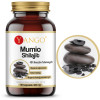 Yango MUMIO SHILAJIT 40% KWASÓW FELUROWYCH wsparcie ODPORNOŚĆ 90 kapsułek