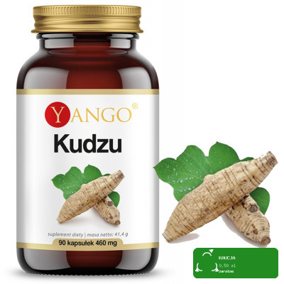 KRUGER WITAMINA C tabletki musujące smak cytrynowy 20 x5 = 100 tabletek