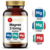 Yango MAGNEZ ORGANICZNY 3 FORMY MLECZAN CYTRYNIAN JABŁCZAN Magnezu 90 kaps