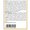 Yango BORRELIN 6 protokół BUHNERA wsparcie BORELIOZA ODPORNOŚĆ 490mg 100kps