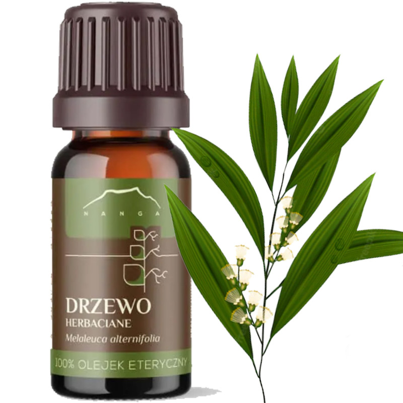 Nanga OLEJEK ETERYCZNY 100% DRZEWO HERBACIANE CHIŃSKIE 10ml