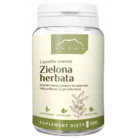 Nanga ZIELONA HERBATA ekstrakt 400mg 100 kapsułek 