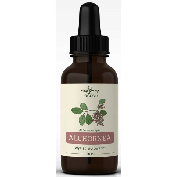 Nanga ALCHORNEA CORDIFOLIA wyciąg ziołowy 50ml 