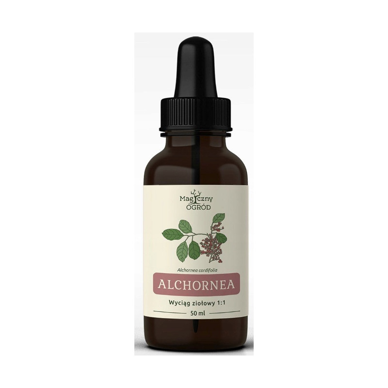 Nanga ALCHORNEA CORDIFOLIA wyciąg ziołowy 50ml 