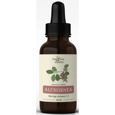 Nanga ALCHORNEA CORDIFOLIA wyciąg ziołowy 50ml 